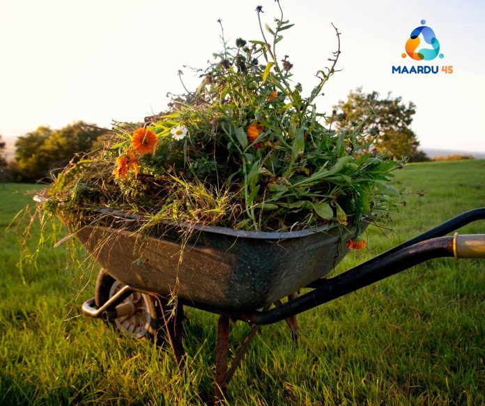 Дизайн без названия (49)