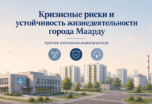 Кризисные риски и устойчивость жизненно важных услуг в Маарду